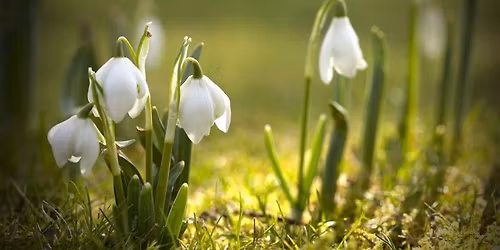 Afternoon Yoga Retreat, Penketh
