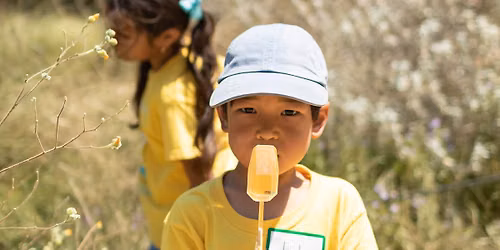 Adventures In Nature Summer Camp | Insect Investigators