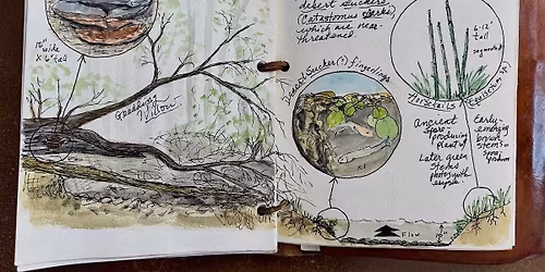 "Drawing to Learn" a presentation with Roseann Hanson