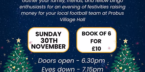 Christmas Bingo Night