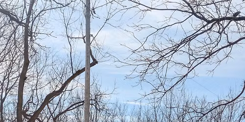 Osborn MetroPark parkrun #180