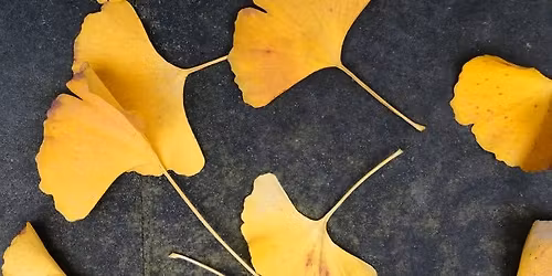 \u2018Recharging Resilience\u2019 Training (Waynesville)