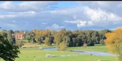 indigo forest school every sat