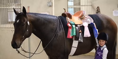 Open All Breed English\/Western Schooling Show #3