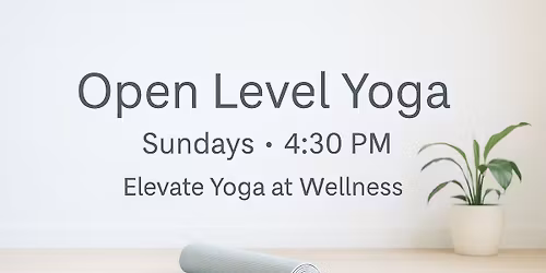 Open Level Yoga