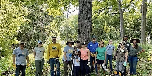 County Grounds Park  - Buckthorn Removal  11\/8\/2026 @1pm