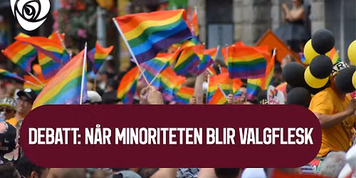Debatt: N\u00e5r minoriteten blir valgflesk