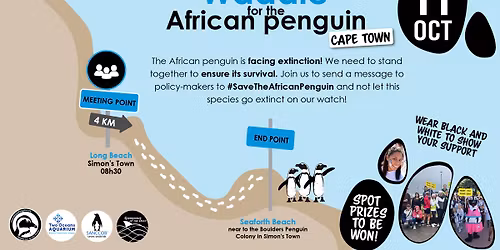 Waddle for the African penguin 🐧💙