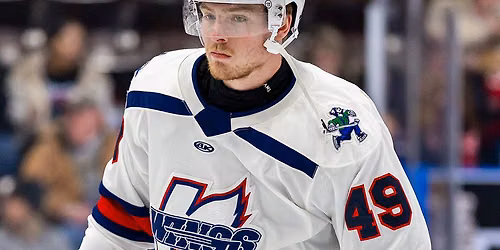 Kalamazoo Wings at Bloomington Bison at Grossinger Motors Arena