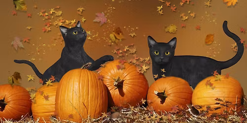 Halloween Psychic Evening