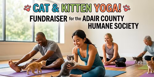 Kitten\/Cat Yoga for Adair County Humane Society