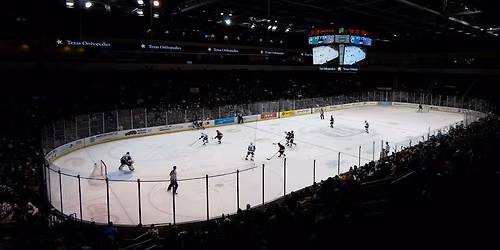Texas Stars vs. Grand Rapids Griffins