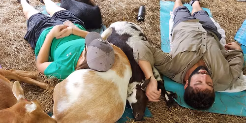 Goat Snuggle and Q & A with a Farmer