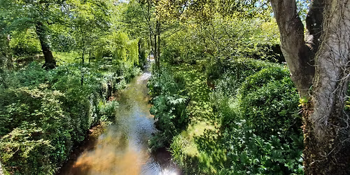 'SNOW' - our theme for this month's meeting