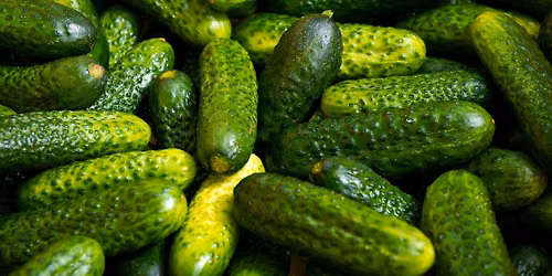 Refrigerator Pickles