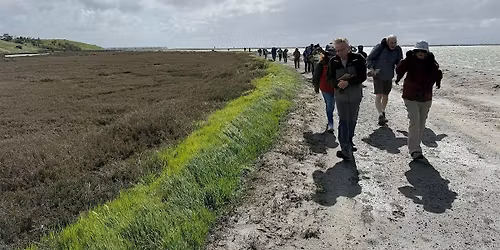 Roving the Refuge