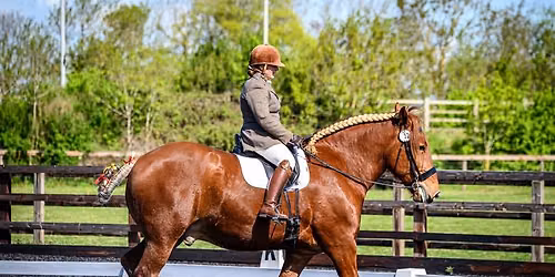 Unaffiliated Dressage Sunshine Tour Qualifiers @ The college of West Anglia CB24 6DB