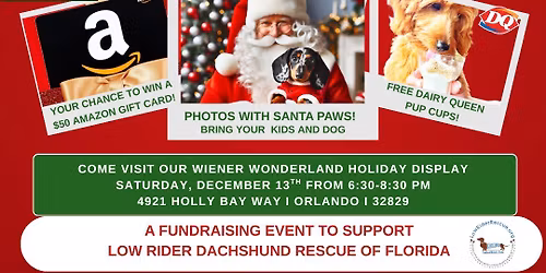 Orlando Wiener Wonderland - Low Rider Dachshund Rescue FL