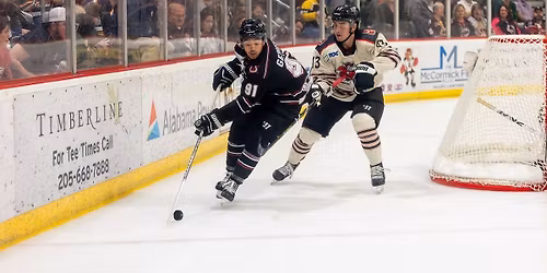 Parking Birmingham Bulls at Pensacola Ice Flyers