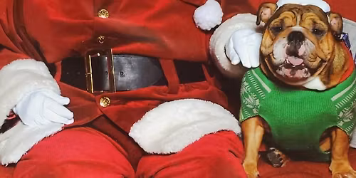 Pet Nights With Santa