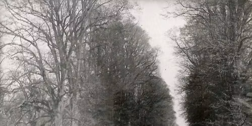Cassiobury Park, Watford - Heritage Walk in June