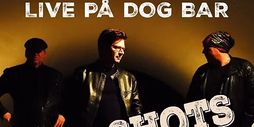 THE HOT SHOTS LIVE@DOGBARUPPSALA