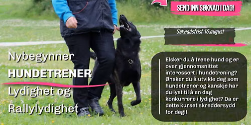 Nybegynner HUNDETRENER - lydighet og rallylydighet