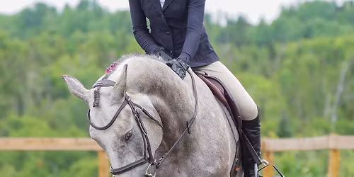 Concours des Pl\u00e9iades 2026