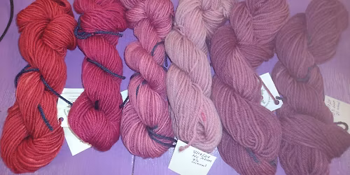 Cochineal Program at the Presidio Museum