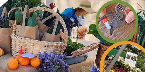 Fall Plant Sale