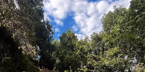 Yoga in the Park 07.12.25