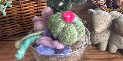 Needle Felting Workshop \u201cSucculent Garden\u201d