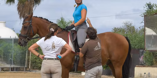 Clinique Classical Dressage with Gonzalo D\u00edaz