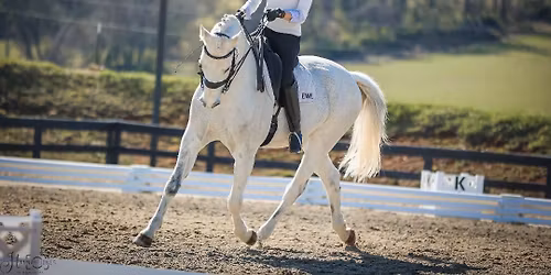 Dressage Show (VADA\/NOVA)