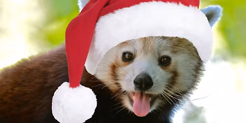 Breakfast with Santa at Zoo Boise