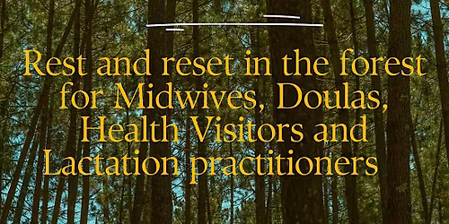 Rest and reset in the forest, for birth and early parenting professionals