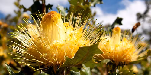 Mindful photography workshop with Michael Pelusey