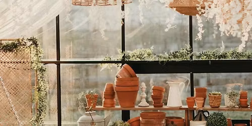 Minis at the Greenhouse