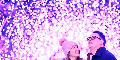 RHS Glow 2025 at RHS Bridgewater