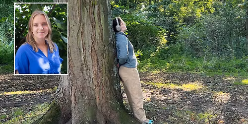 Workshop: To Meet A Tree