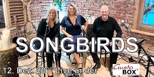 SONGBIRDS, Live in der GUSTOBOX