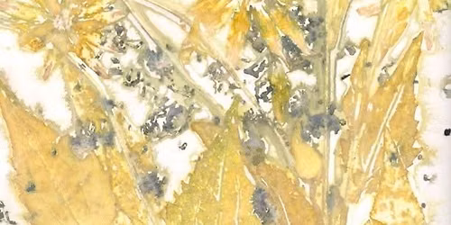 Eco Printing on Paper with Mary DeLano, Sept 12