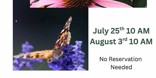 Guided Butterfly Walk in the Pollinator Garden