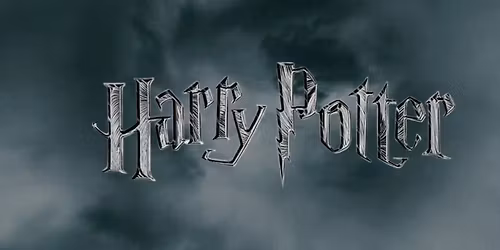AUSTIN HARRY POTTER Trivia