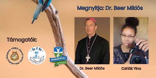 A teremtett term\u00e9szet - Cziri\u00e1k Yina ki\u00e1ll\u00edt\u00e1sa