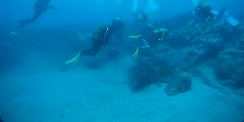 Pool Training Sessions