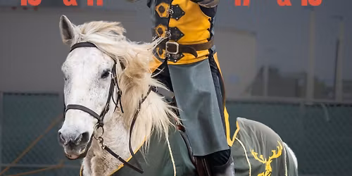 4th Annual Venezia Renaissance Faire