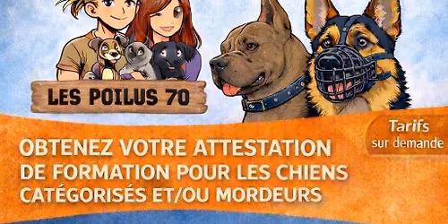 D\u00e9livrance de l'attestation de capacit\u00e9 \u00e0 la d\u00e9tention d'un chien cat\u00e9goris\u00e9 12\/04\/26