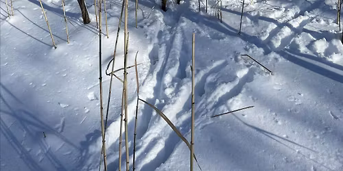 Coachs en marche \u00e0 Longueuil le 13 mars 2026