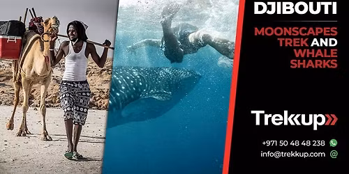 Moonscapes trek + Whale Sharks | National Day Break in Djibouti